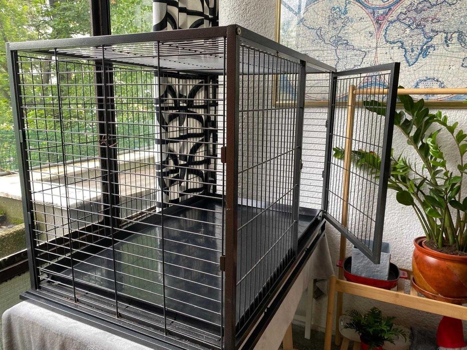 colivie  PASARI   cusca ANIMALE   mare si rezistenta