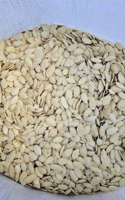 Vand seminte de dovleac!