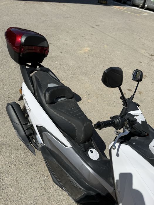 Продается мопец Алмотор