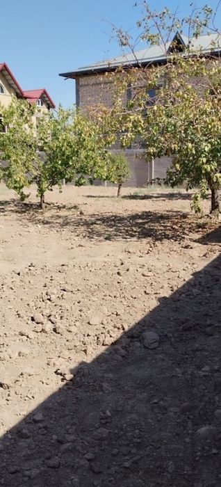 Олим Полвон Земля 5 соток по ниже рыночной цене