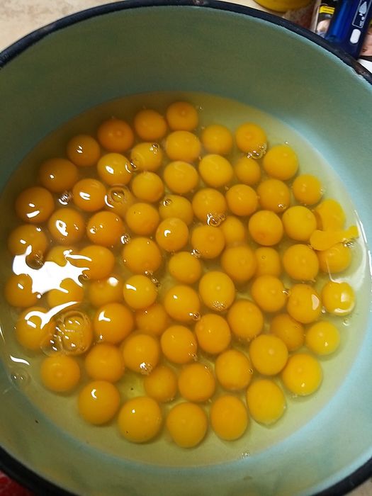 пъдпъдъчи яйца!!!х
Винаги пресни Тарелка от 12бр