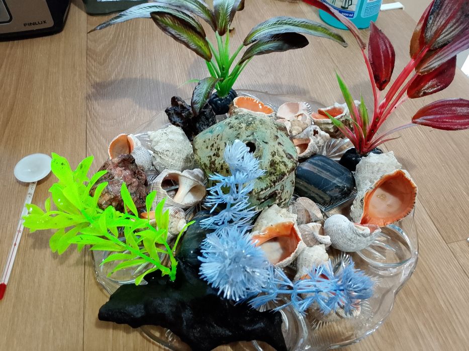 Дъно за аквариум