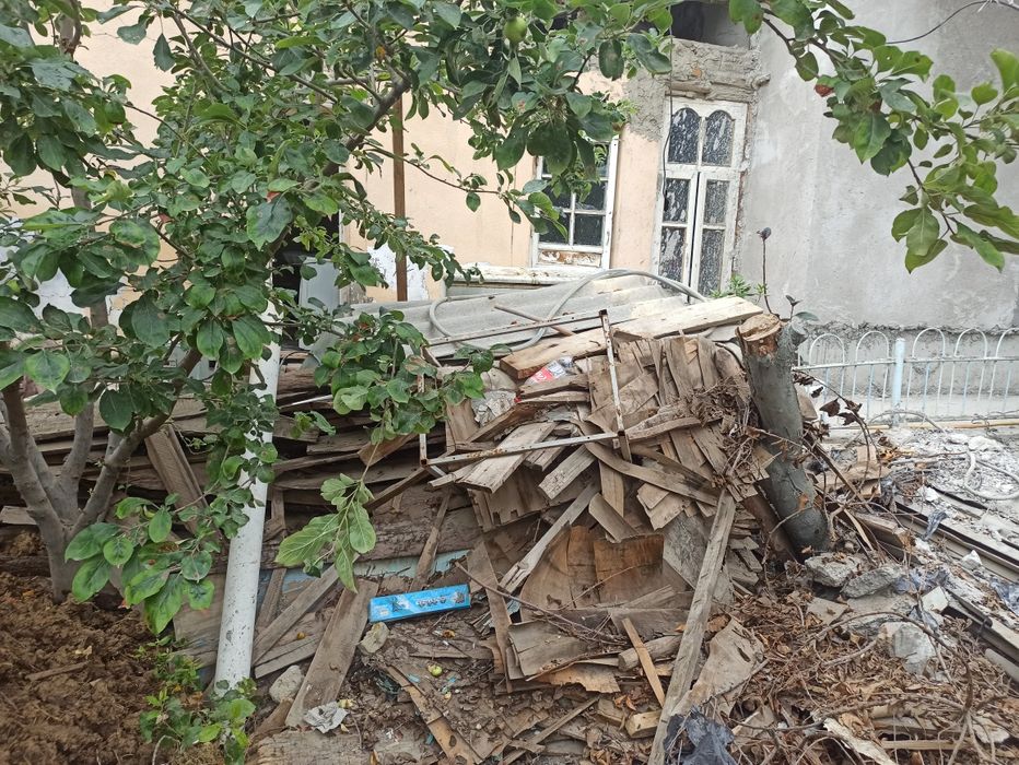 Черный паталог болорлар каламалар сотилади