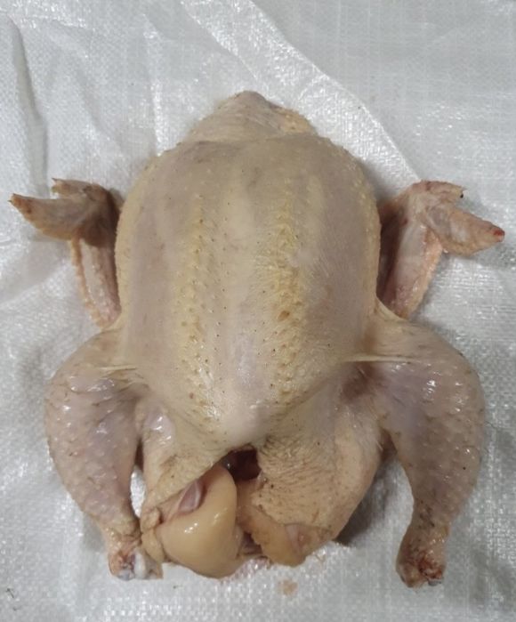 Бройлер тушками!