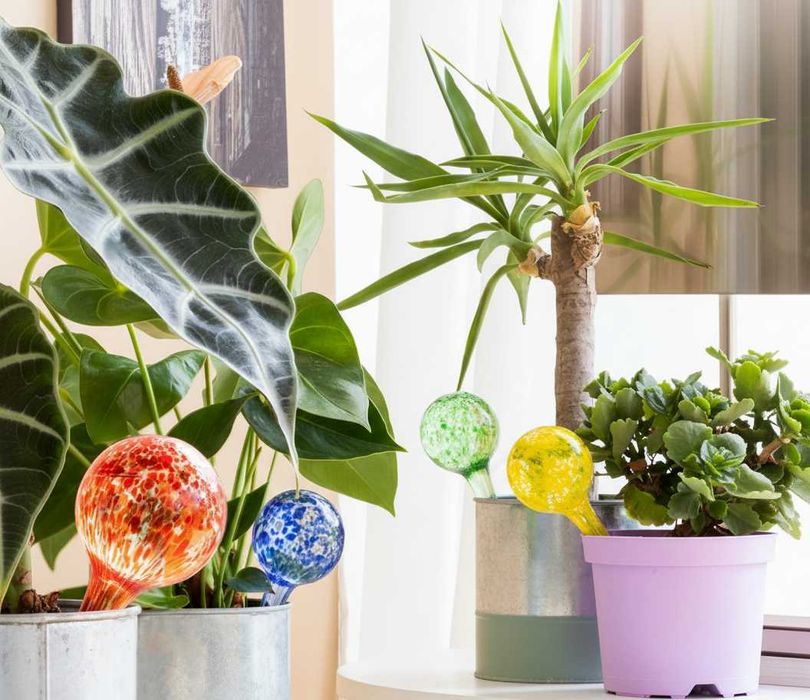 Set 4 bile de udare sticla sistem automat prin picurare 100ml