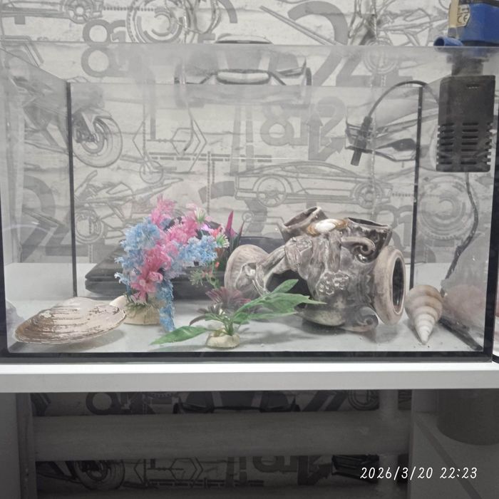 Продам аквариум 15л