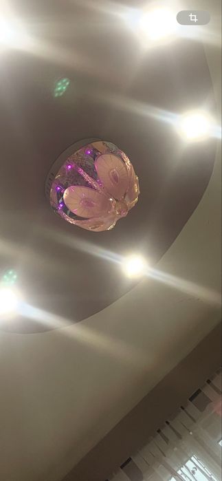 Полилей цветен с дистанционно