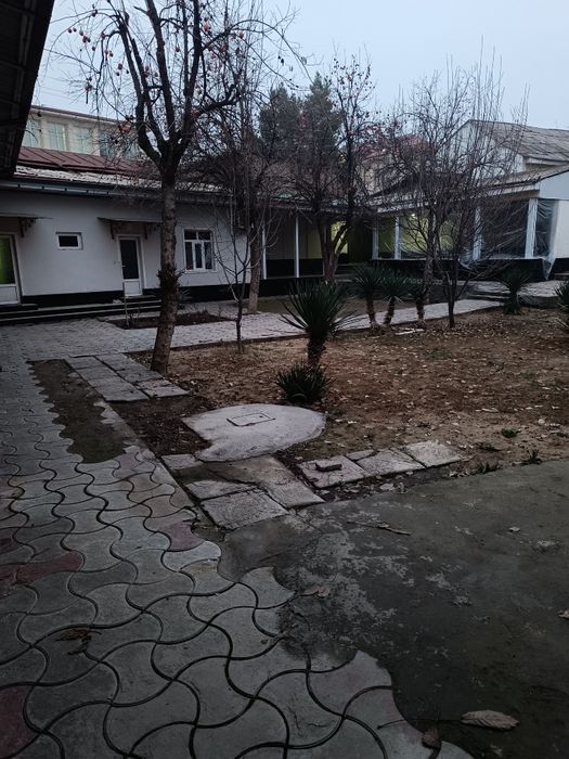 Ракат махалла Уй сотилади