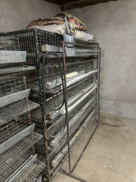 Сетка для перепелки