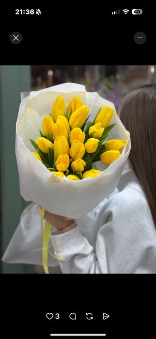 Цветы Тюльпаны!!