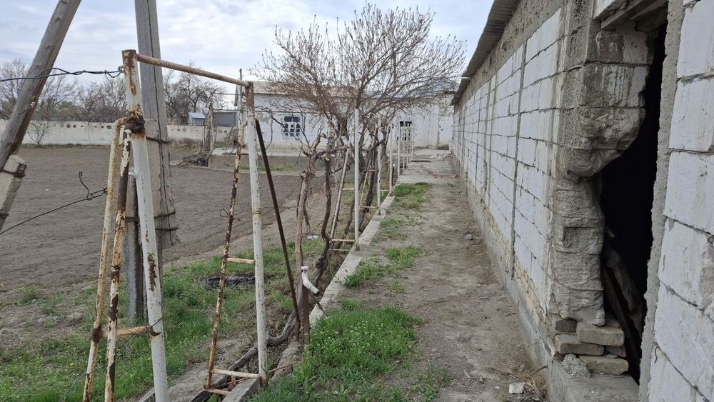 Noturar yer maydoni va bino (Romitanda)