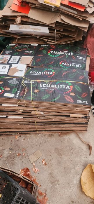 Banan karoka olamisiz