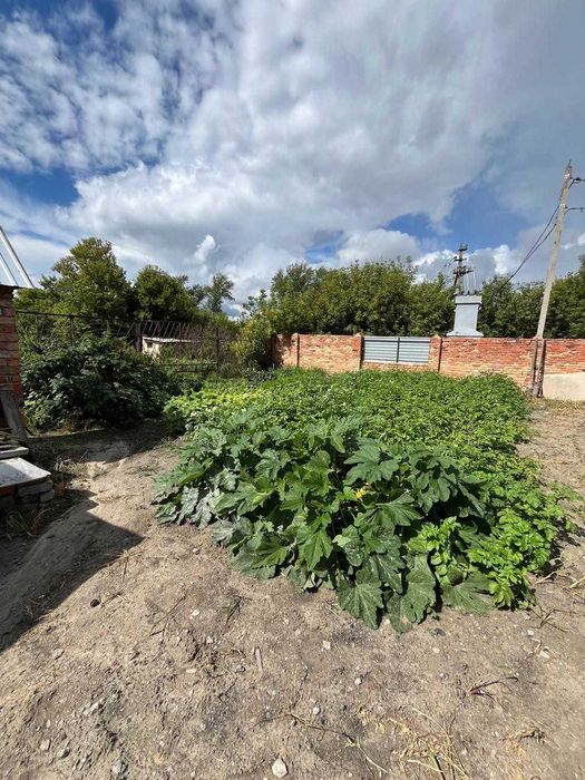 Торговый дом. Боровское.