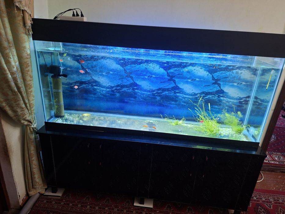 Аквариум сатылады