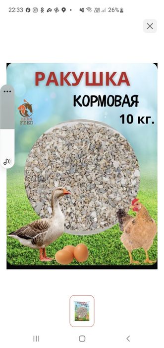 Ракушка кормовая морская