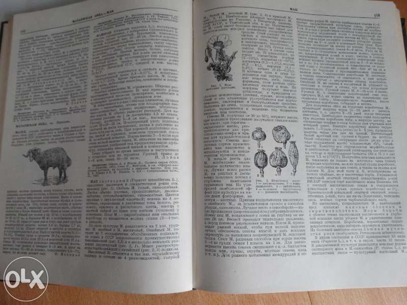 Енциклопедии "Сельско хазяйственная"