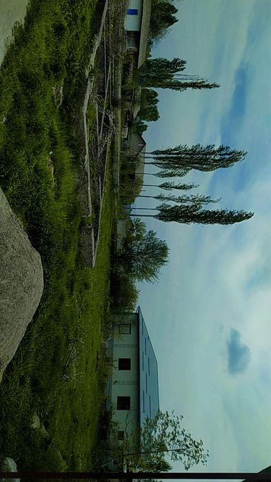 12 сотох участка