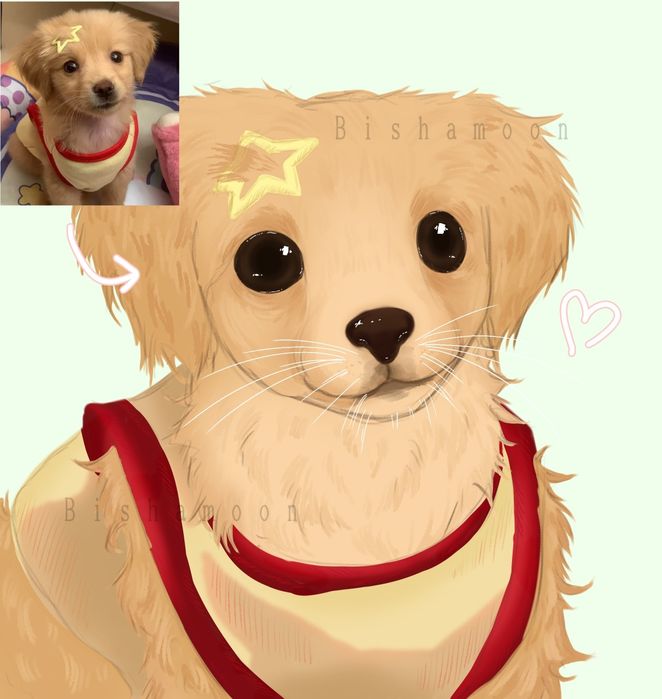 Рисунок питомца, нарисую питомца