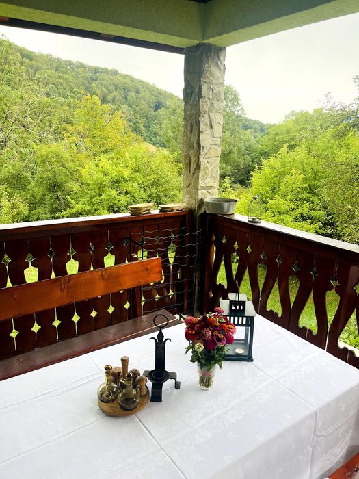 VIND Vila  In Stațiunea Moneasa