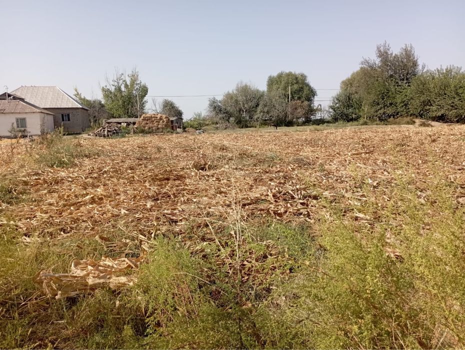 Участок жетісай алғабас