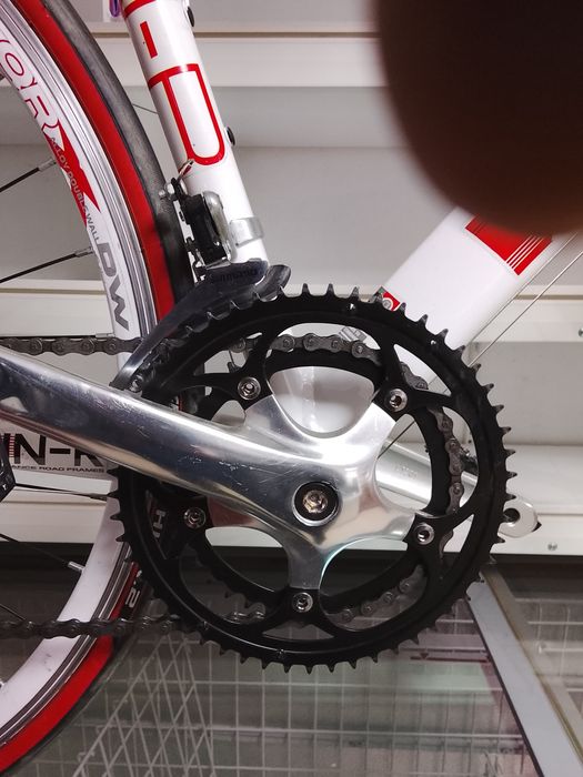 Cursiera momo simano germania