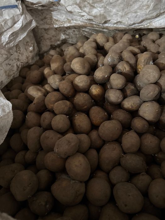 Cartofi de vanzare