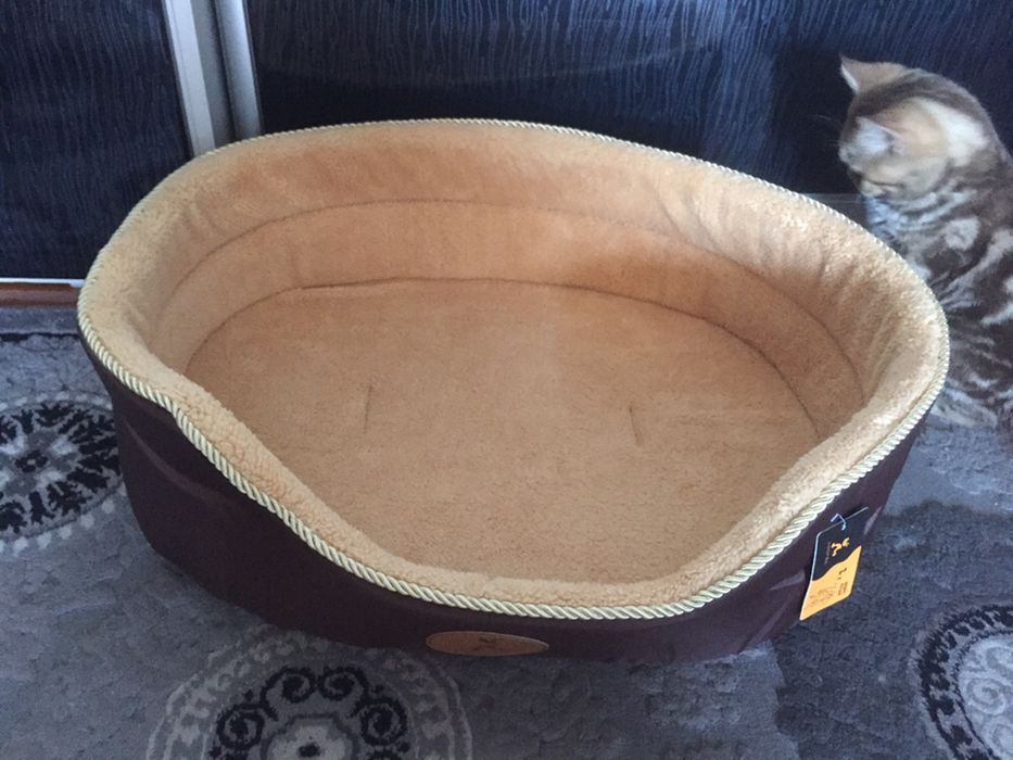 Лежанка для домашнего питомца, в подарок игрушка