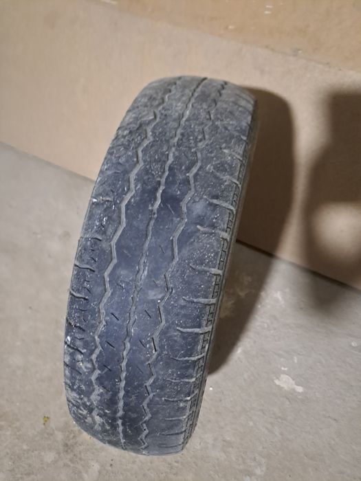 Damas baloni sotiladi