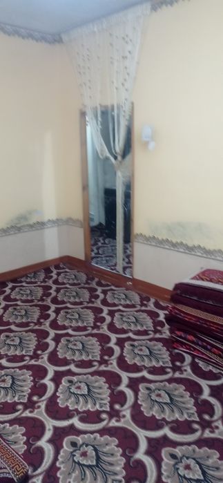 Богот центр навойи курпс