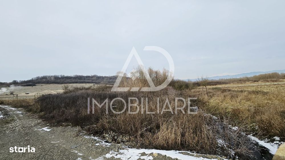 Teren de Vânzare în Turcinesti