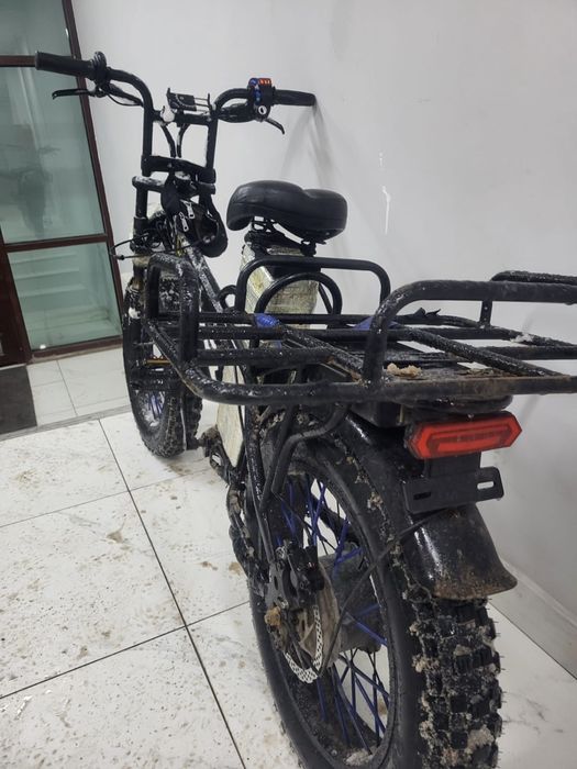 Электровелик леопард