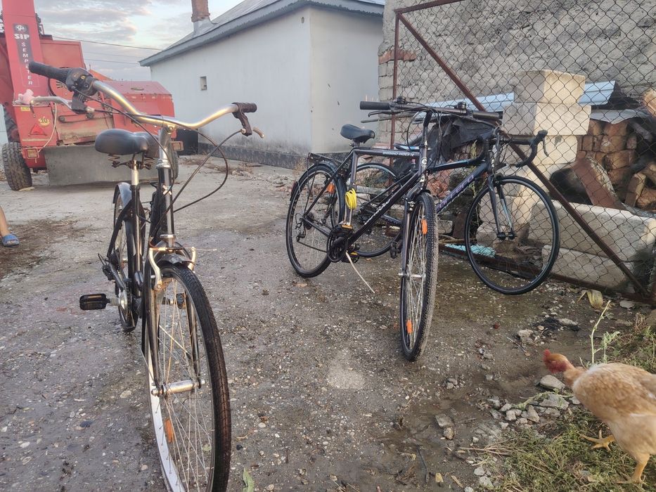 Vand biciclete bune
