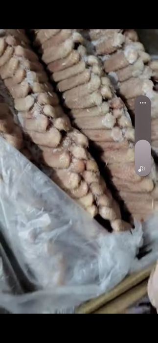 Корм для животных