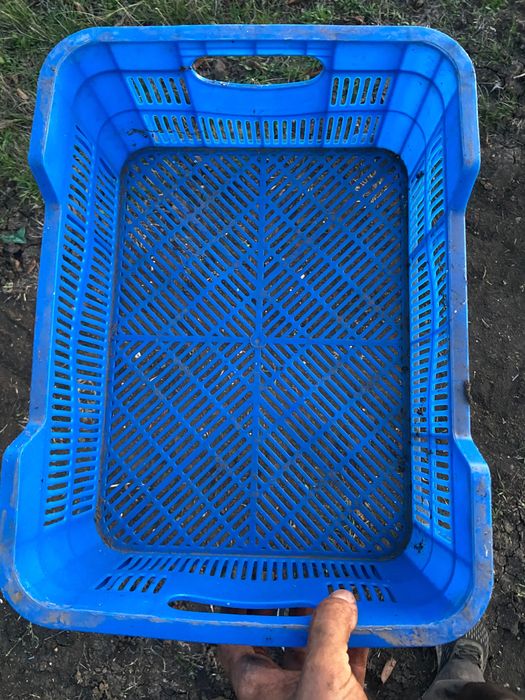 Касетки за плодове