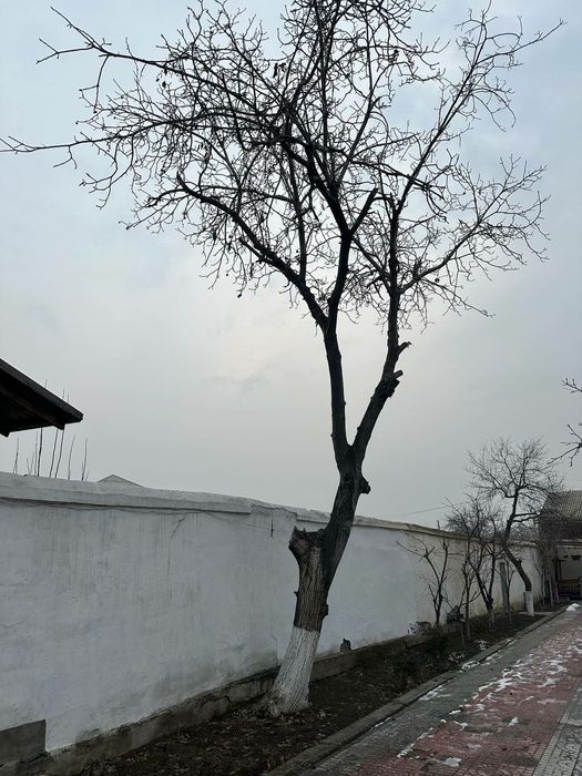 Ёнгок сотилади холати яхши