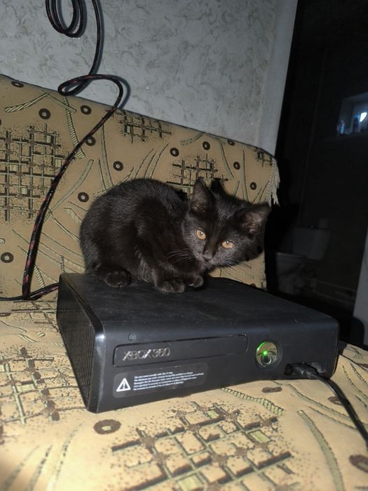 Продам Xbox 360 slim