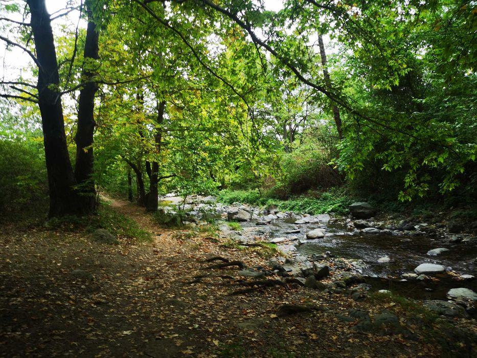 Парцел 1 линия река  с. Първенец