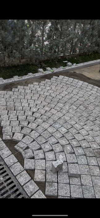 Bruchatka Koksaroy kolitiy