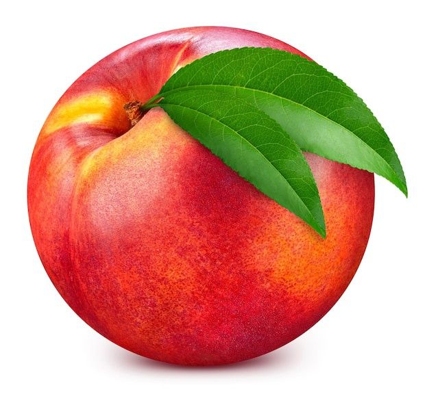 Мевали дарахт кўчатлари Каттақўрғон