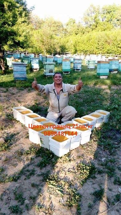 Цветен прашец 15€/кг Произведено в БЪЛГАРИЯ