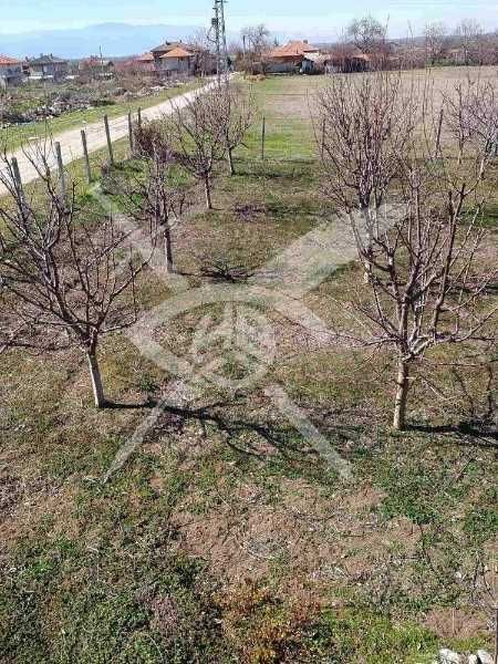 Продава се Парцел в с. Конуш, Област Пловдив - 20000 кв.м за 5 €/кв.м - Снимка #1