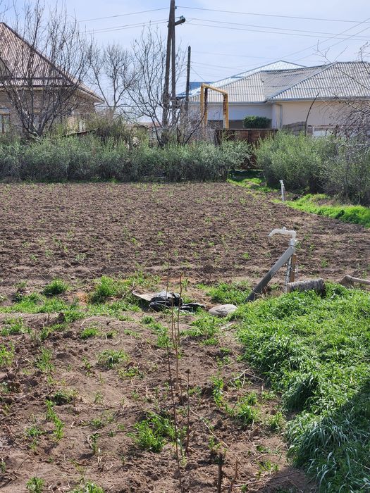 Продаётся участок в центре Янгибазара