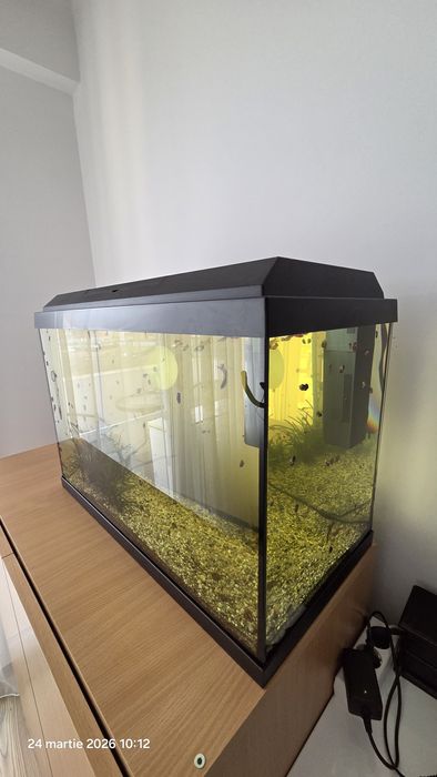 Vând acvariu JUWEL 70 Litri.