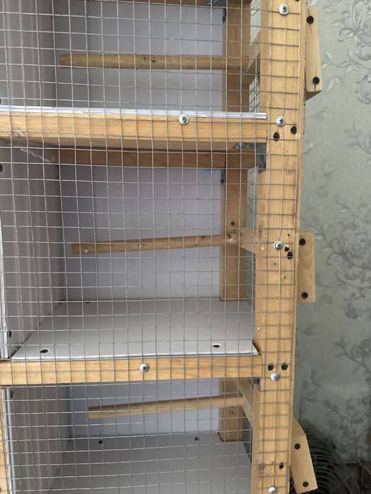 Qafas qushlar uchun