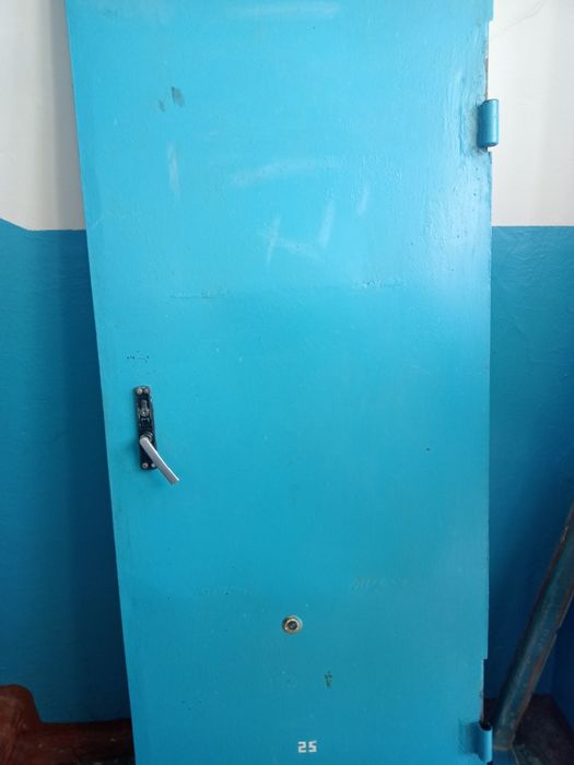 Железный дверь. Срочно. 10000