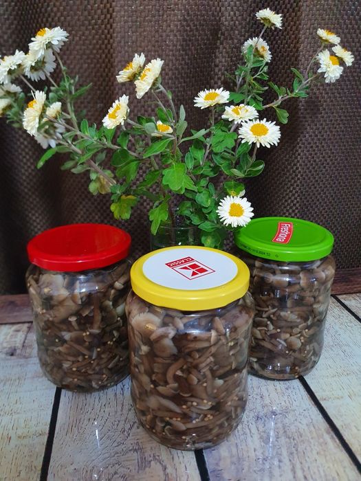 Ghebe mici în oțet