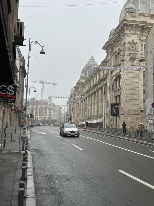 Spatiu comercial Calea Victoriei Stradal Vad comercial zona circulata