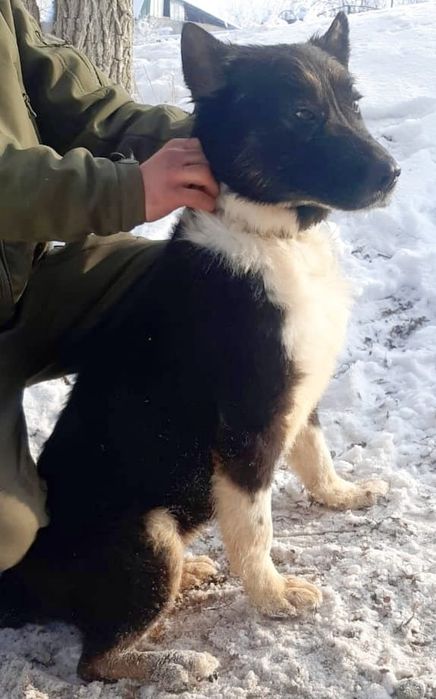 Кому.ОхРаниКи,кОмпаНьеНы,сТорожа