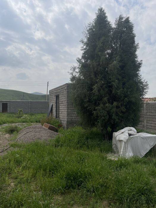 продается дача  в паркентском районе    кизилсой с кадастром