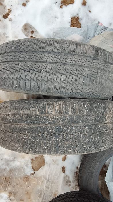 Срочно продам шины